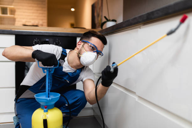 Best Pest Prevention Services  in Ellensburg, WA