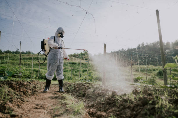 Best Mosquito Control Services  in Ellensburg, WA