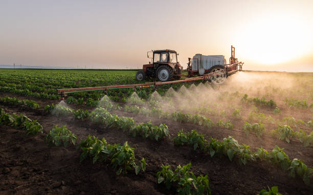  Ellensburg, WA Pest Control Pros