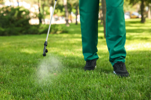 Best Pest Inspection Near Me  in Ellensburg, WA