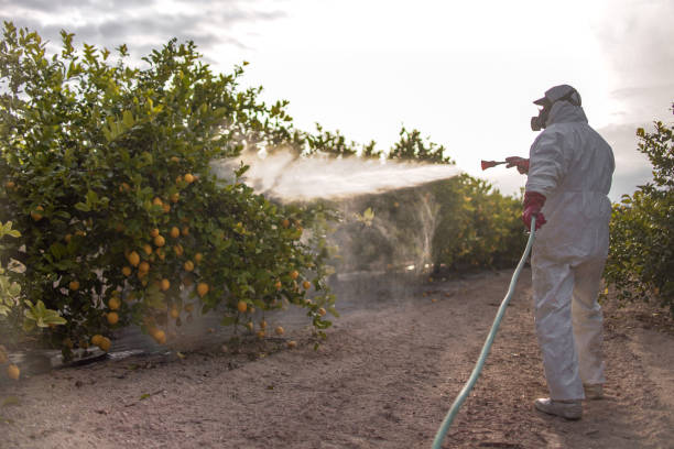 Best Local Pest Control Services  in Ellensburg, WA