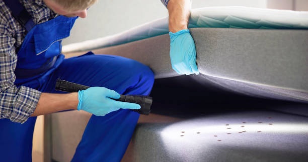 Reliable Ellensburg, WA Pest Control Solutions