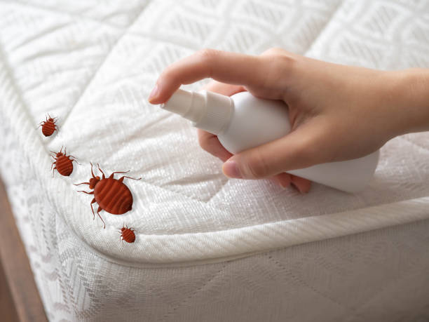 Best Flea Control Services  in Ellensburg, WA