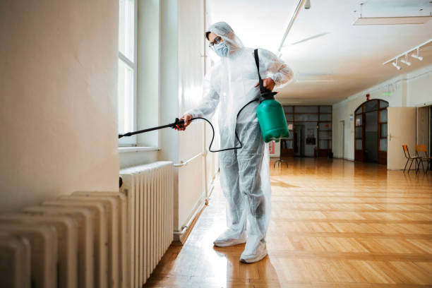 Best Affordable Pest Control Services  in Ellensburg, WA