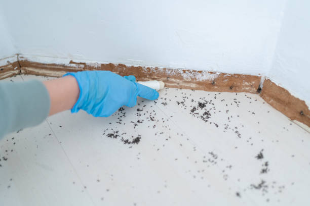 Pest Prevention Services in Ellensburg, WA