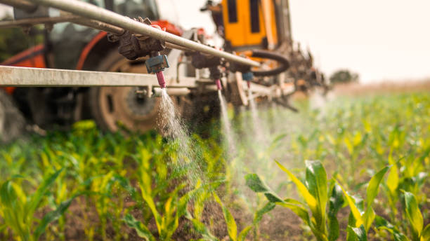 Best Commercial Pest Control Services  in Ellensburg, WA